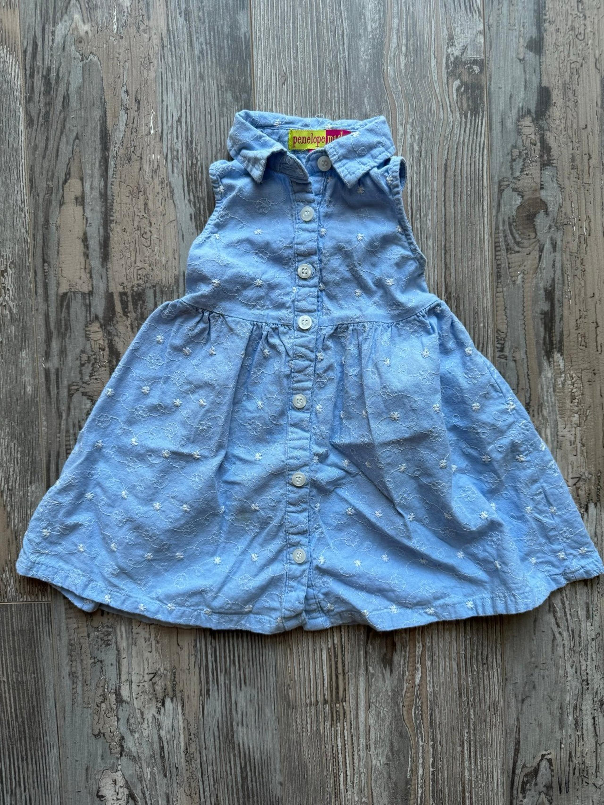 Penelope Mack Floral Embroidered Denim Dress Size 18 Months
