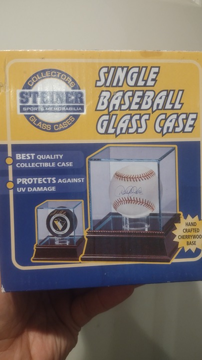 Steiner single baseball glass case
