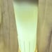 This Vintage 1940s Empire State Building Skyscraper Celluloid Lamp