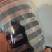 8 Acrylic Goblets Wine Glasses Nautical Beach Flamingos Palm Trees FREE SHIPPING