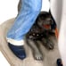 Norman Rockwell Halloween Figurine Porcelain Trick or Treat Decor Collection