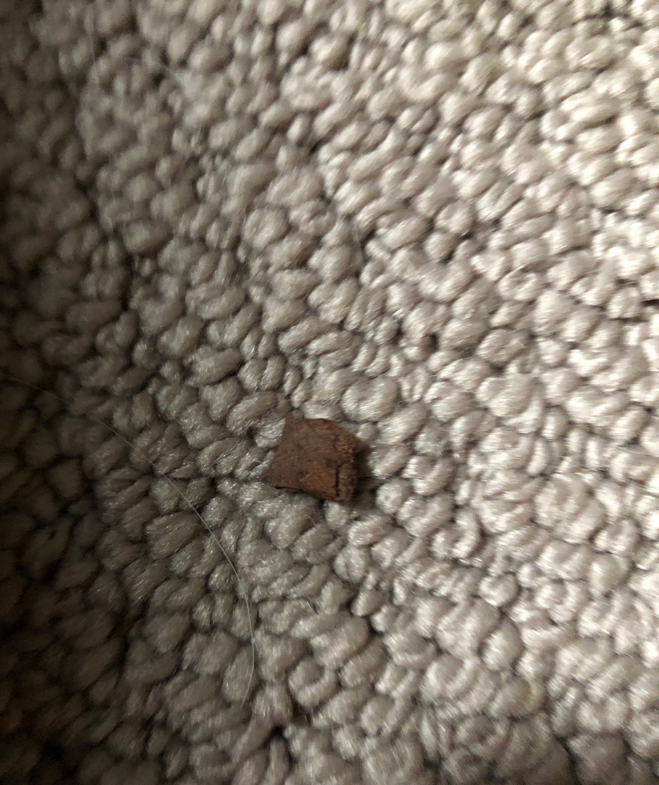 Peice of bark