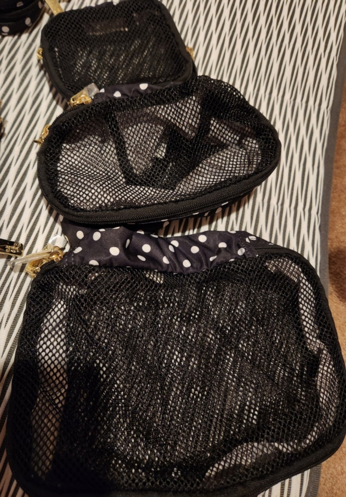 Jujube black duchess be organized