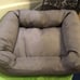 Kong Cuddler dog bed