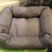 Kong Cuddler dog bed