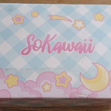 Sokawaii January box