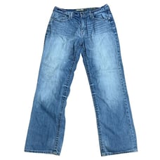 BKE Seth Jean Western Whiskers Distressed Straight Leg Light Wash Denim Pant 36L