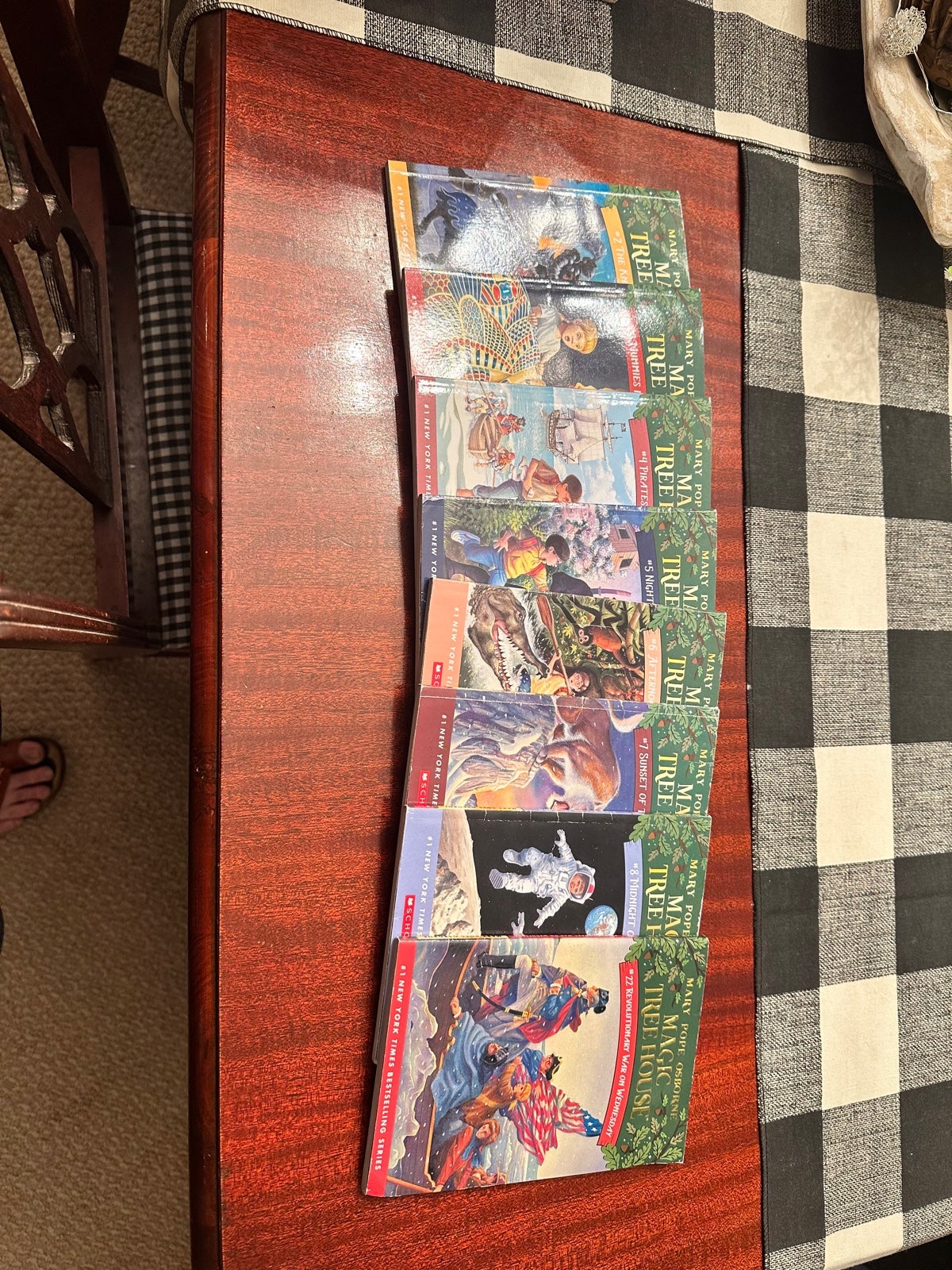 Magic Tree House Books