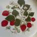 Strawberry Pie or Tart Baking Dish