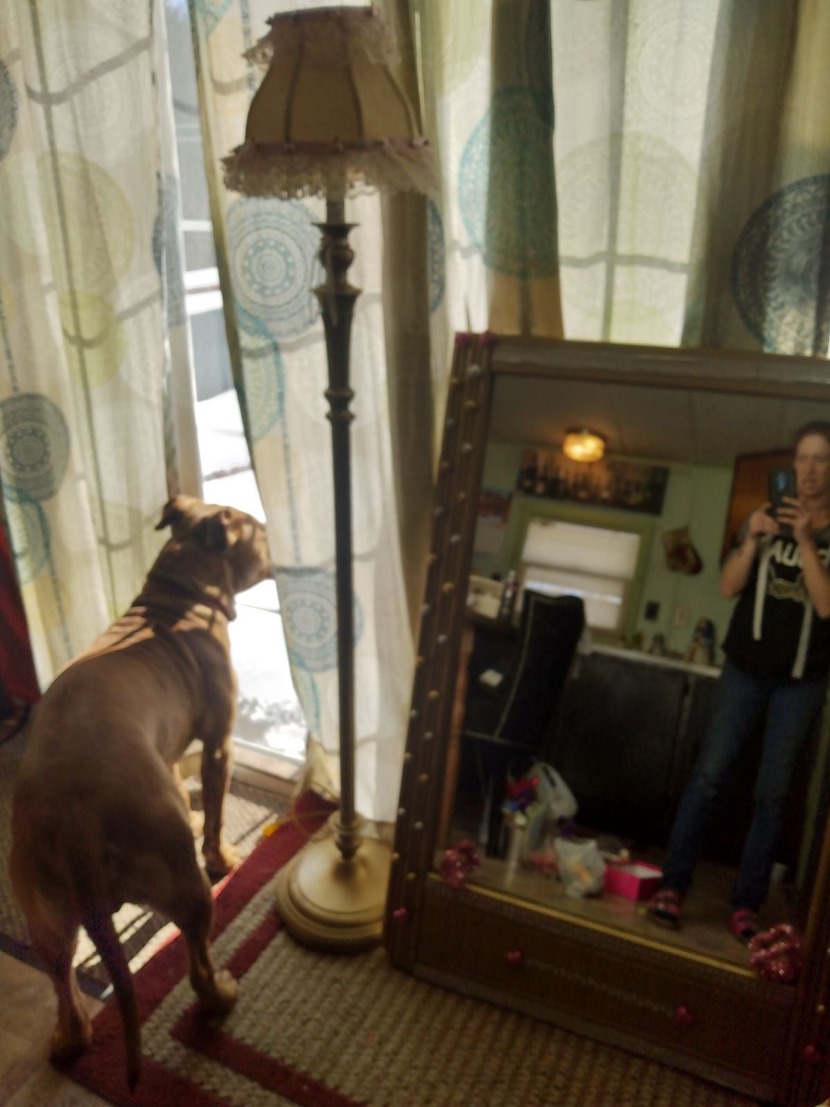 Victorian Gold Brass Lamp& Gold farmhouse chic Mirror. What a stunning end resul