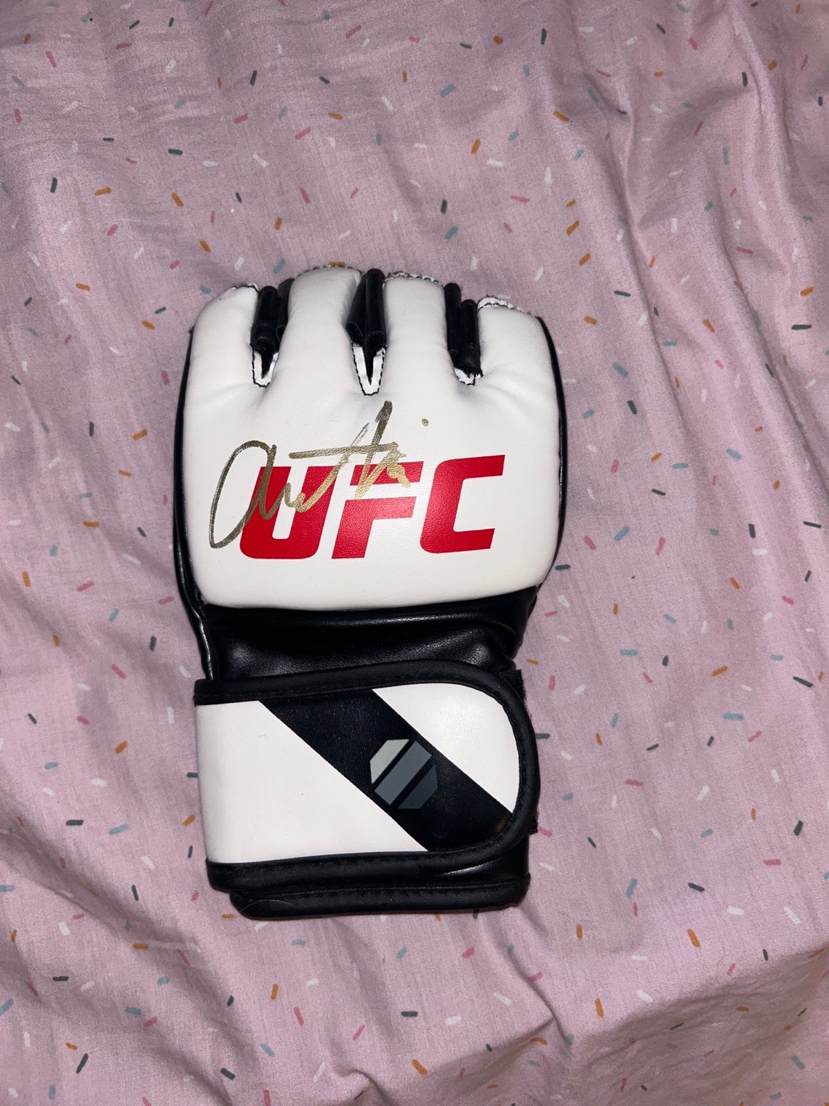 Lion heart punching glove