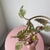 Vintage Antique Shabby Chic Floral Green Leaf Metal Candle Holder