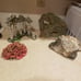 Fish Tank Items