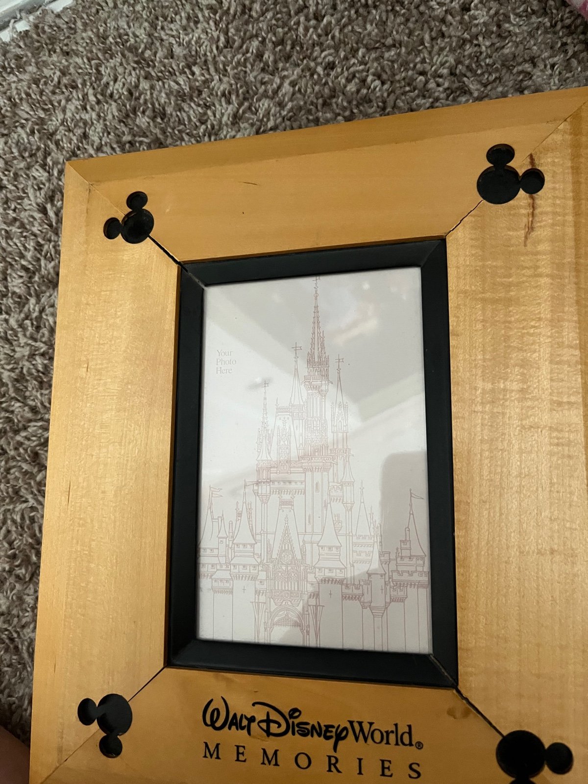 Walt Disney world photo album