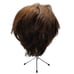 Eva Gabor Brown Short Straight Tapered Wig