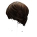 Eva Gabor Brown Short Straight Tapered Wig