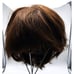 Eva Gabor Brown Short Straight Tapered Wig