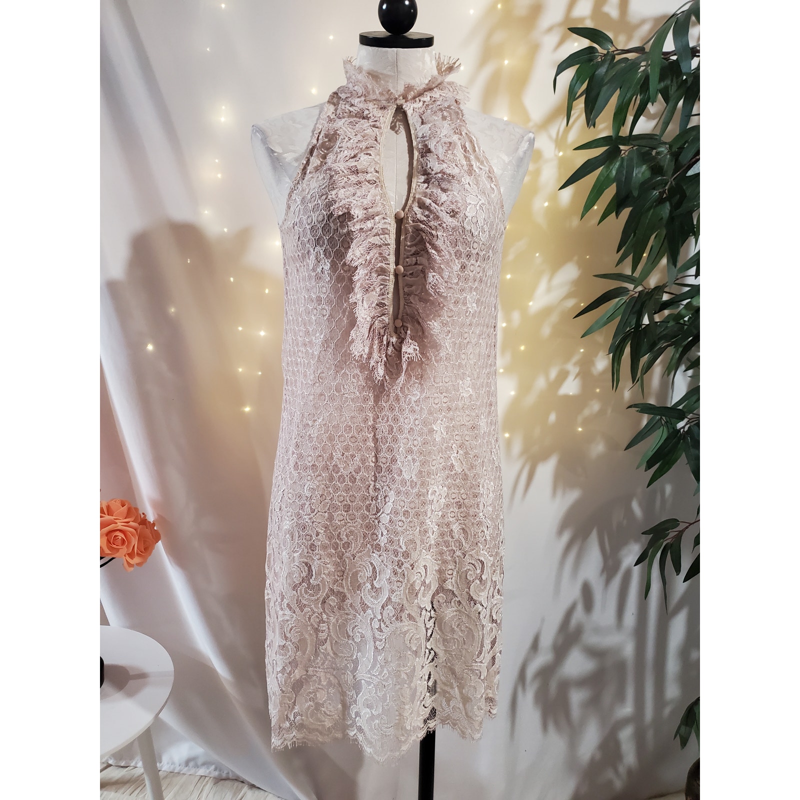 Diane von Furstenberg Olvida Lace Ruffle Silk Lined Dress Size 4 Beige Victorian