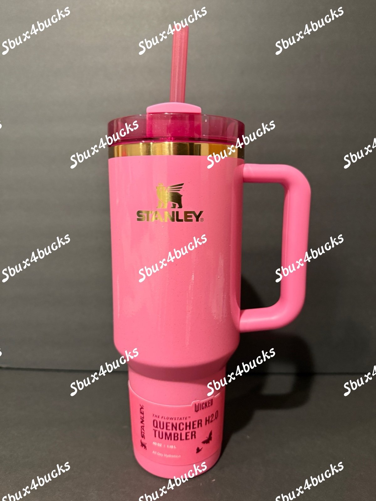 Pink Wicked Stanley