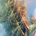 Beautiful Original Vibrant Duck/Mallard Oil Painting Signed On Canvas 36 X 24”
