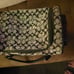 Coach dog carrier
