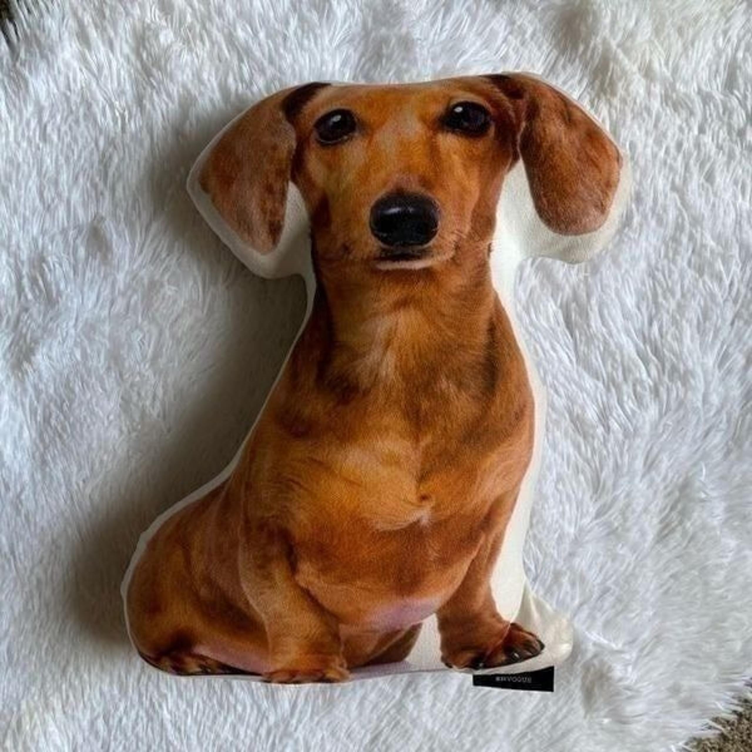Envogue Miniature Dachshund Puppy Dog Decorative Pillow Smooth Double Sided