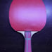 Stuor Arbluo 7 Custom Table Tennis Paddle