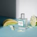 NEW Clean Classic Rain Eau de Parfum Large Perfume Spray