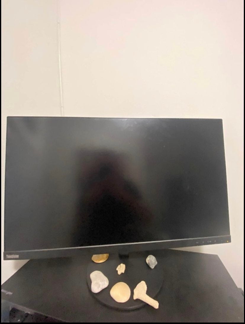 Monitor