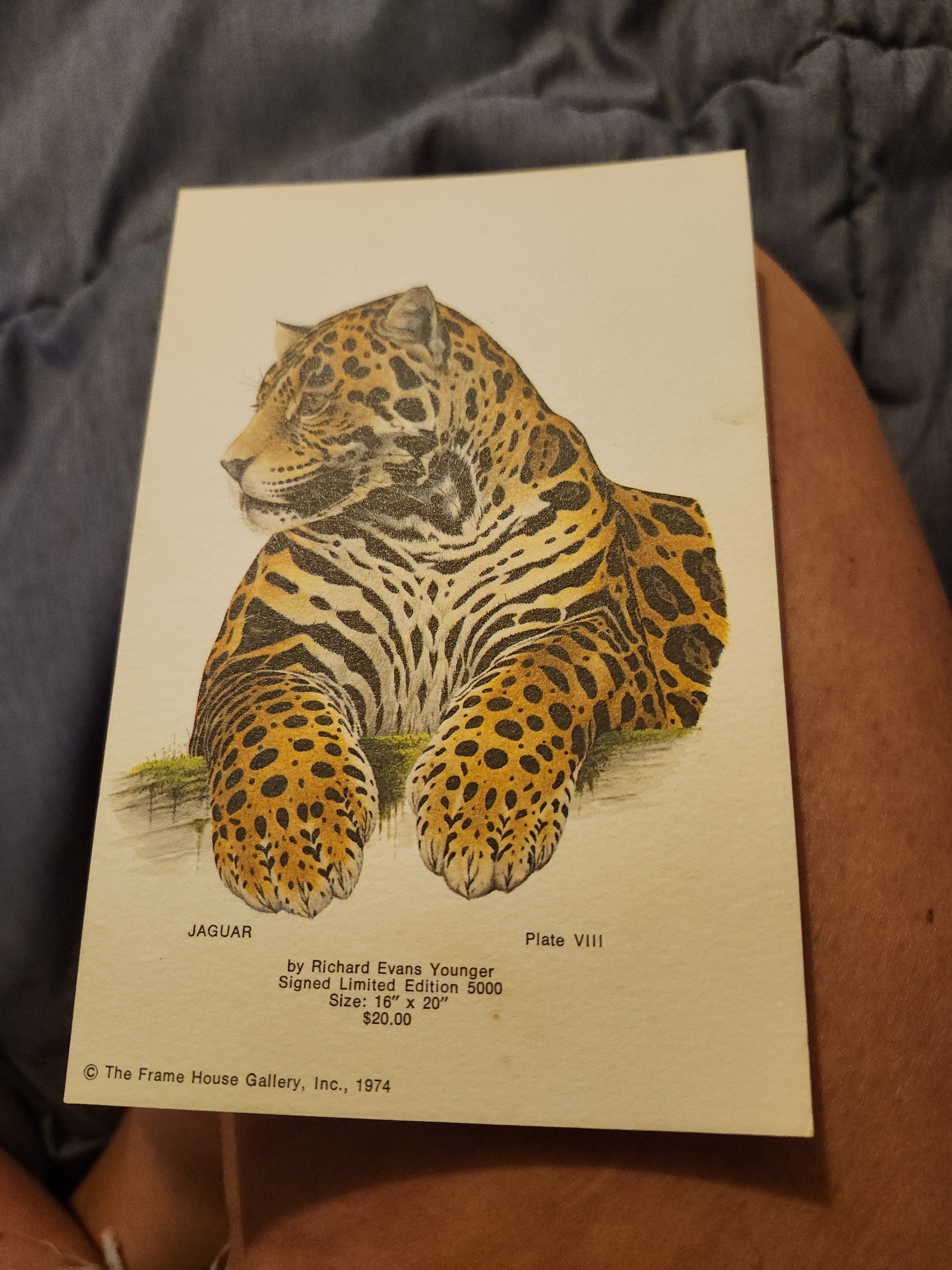 Signed Limited Edition Richard Evans Younger 16 x20