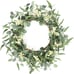 20 Eucalyptus Wreath for Front Door
