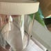 Wide mouth jars