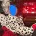 Girls cruella costume