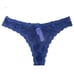 Victoria’s Secret Dream Angels Shine Mesh lace trim Thong Panty blue Small