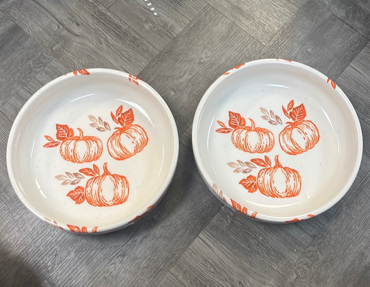 Fall orange pumpkin bowl set of 4