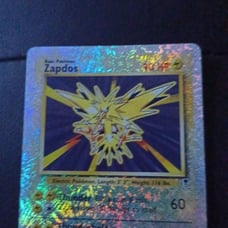 Zapdos reverse holo 19/110