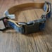 Carhartt Nylon Duck Blanket Stripe Dog Leash and Collar Set