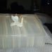 Alabaster Marble Stone Quartz Rectangular Trinket Box Vintage Doves Love Birds
