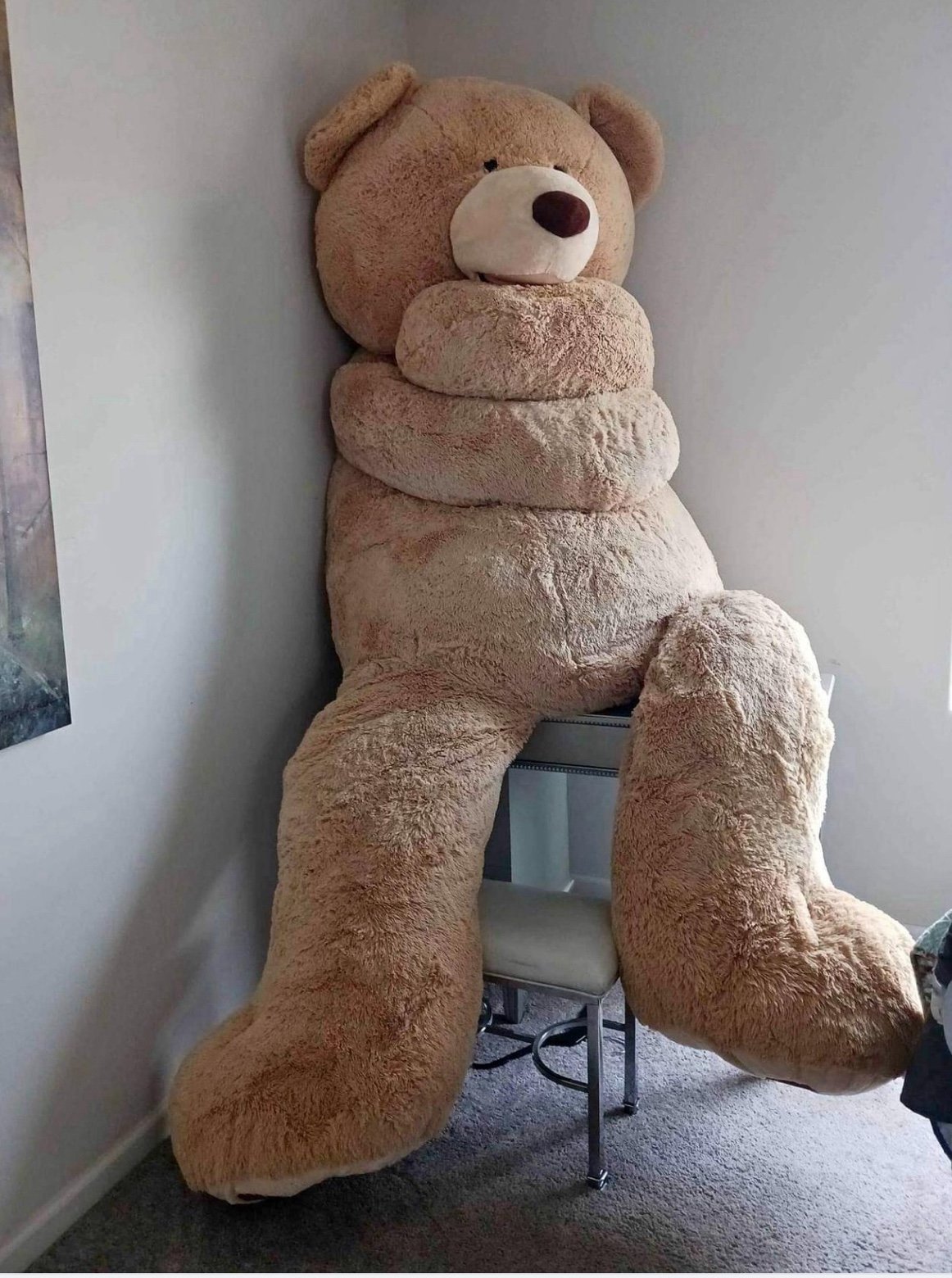 Giant 5ft Teddy Bear