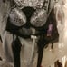 3 piece lingerie set