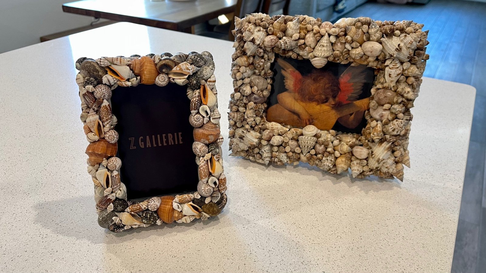 Z Gallerie shell frames