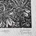 Relief print of Ann Hathaway’s Cottage UK signed in pencil Brender a Brandis