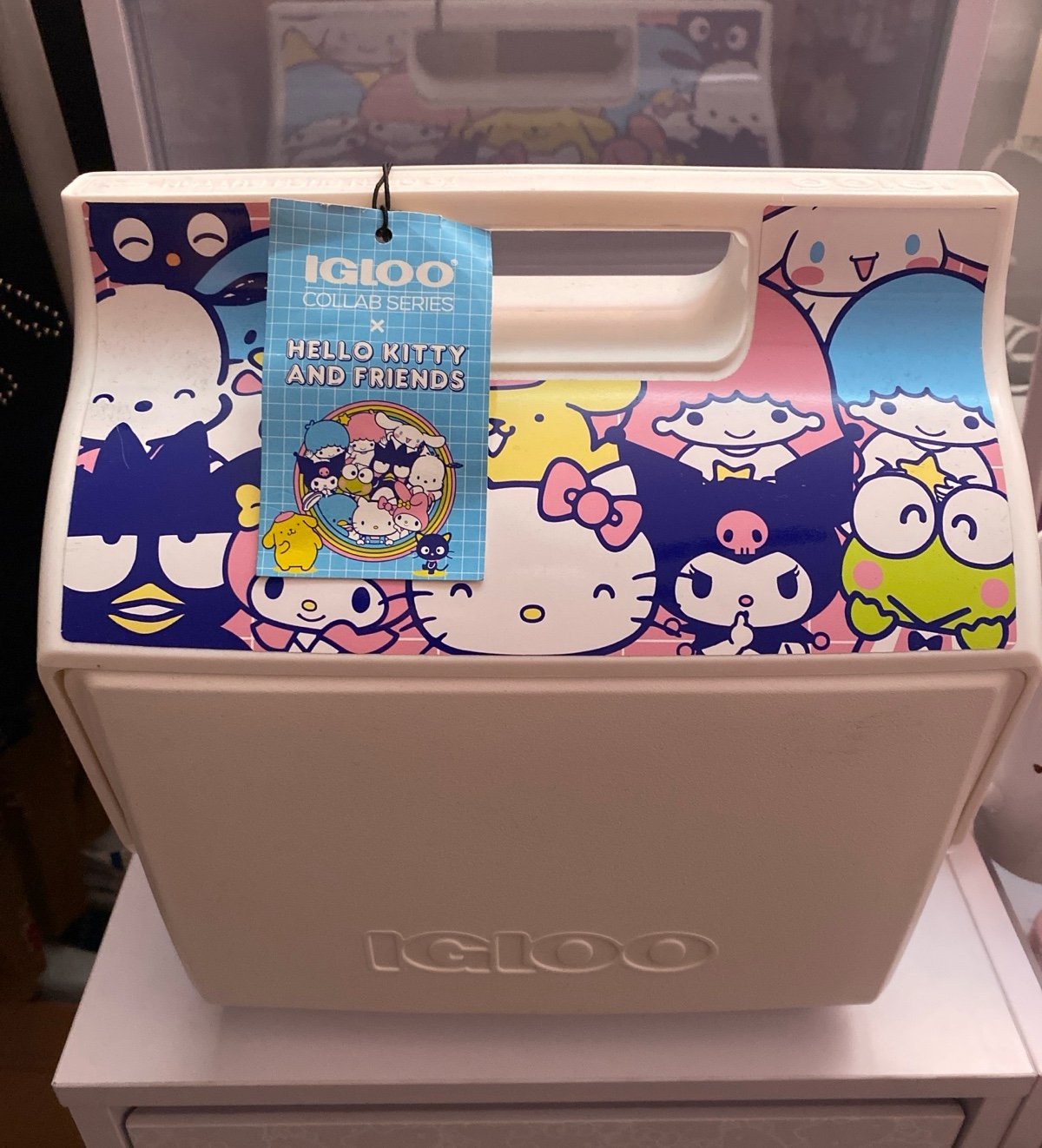 Hello Kitty and Friends Igloo Collab