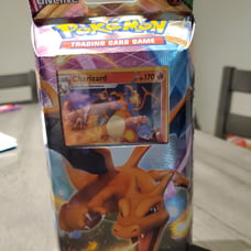 vivid voltage charizard theme