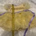 girls dresses