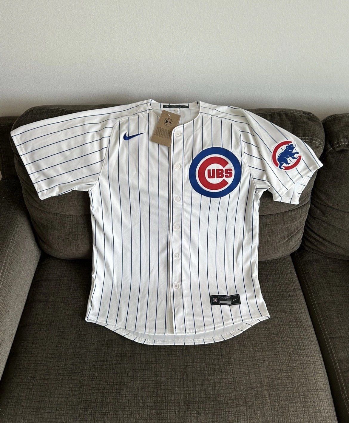 Nike Authentic Pinstripe Chicago Cubs Kyle Tucker #30 MLB Jersey Men’s Sz: M