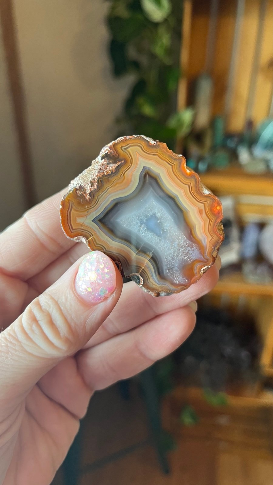 Brown Laguna agate specimen