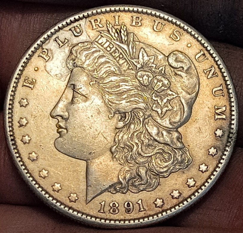 Morgan Silver1891s SUNSET TONNING BU,ONE SELLER WANTS 550 SAME DETAIL,NOT TONED