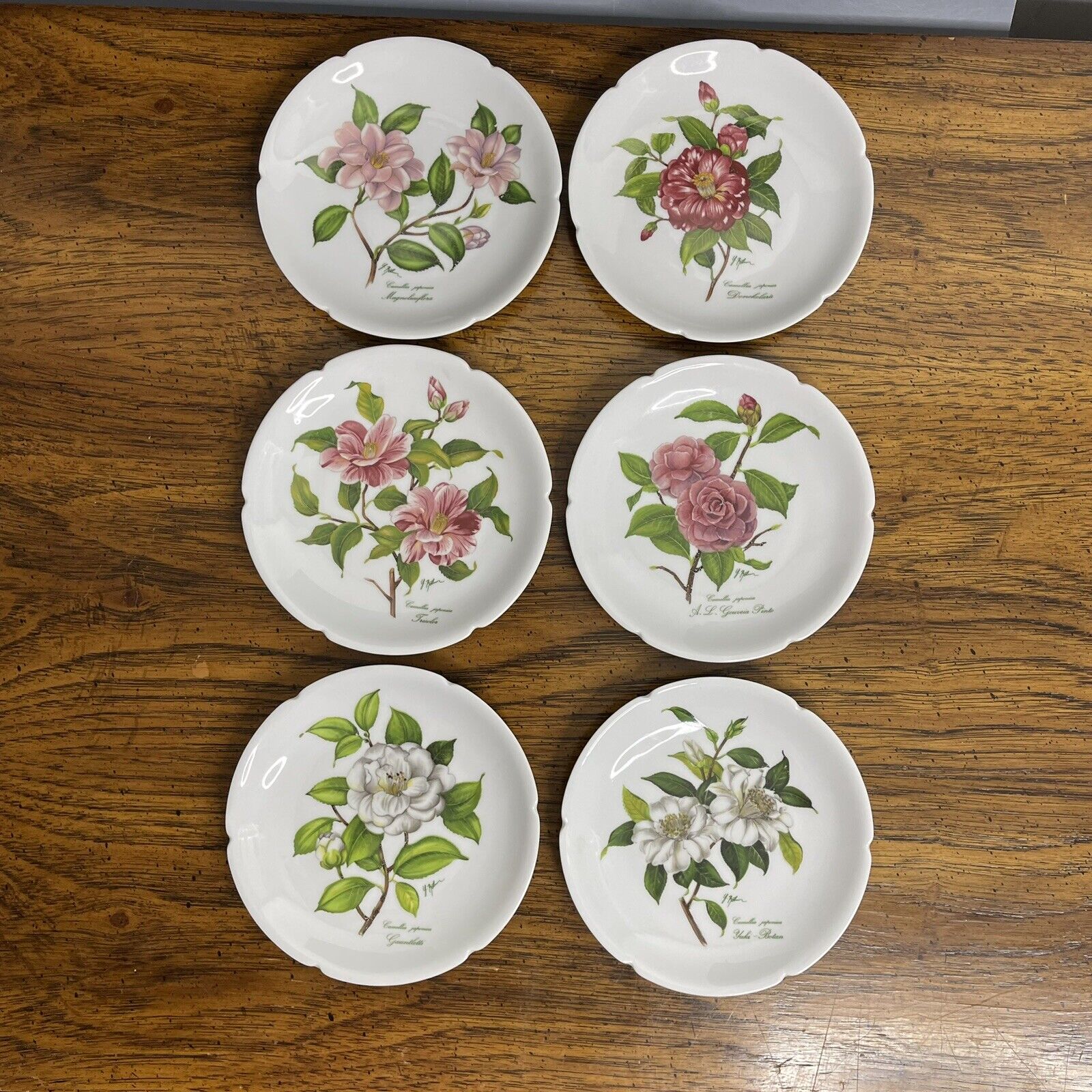 Rochard Limoges France Dessert Bread Plates Cheese Wine 5.25” Flowers Signed
