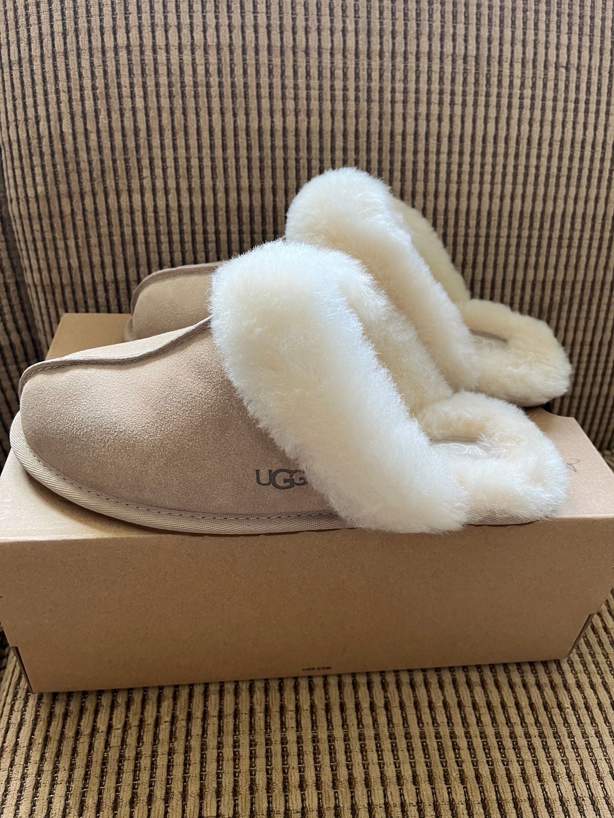 UGG Scuffette